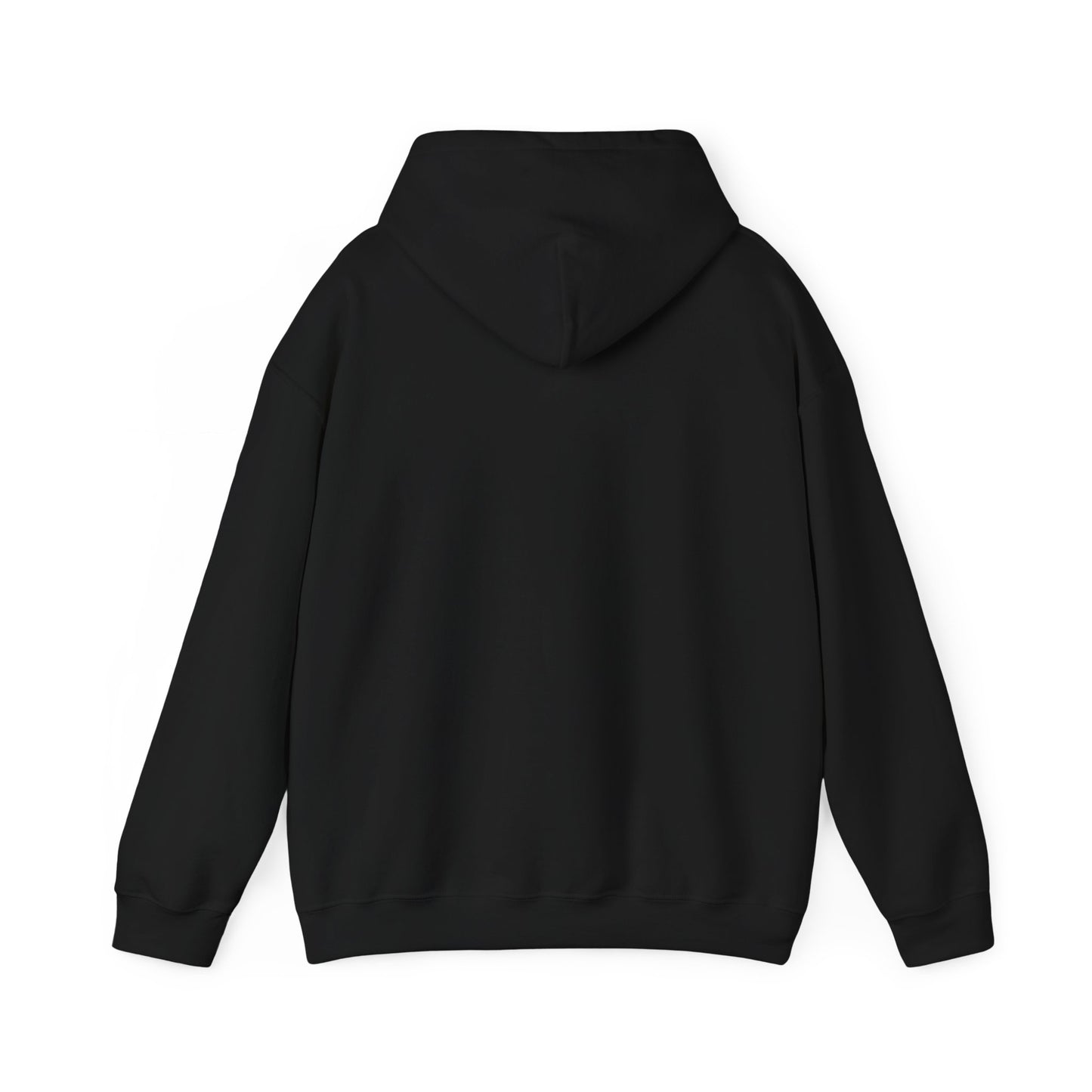 Patriotic Unisex Hooded Sweatshirt – 'Shall Not Perish' Design