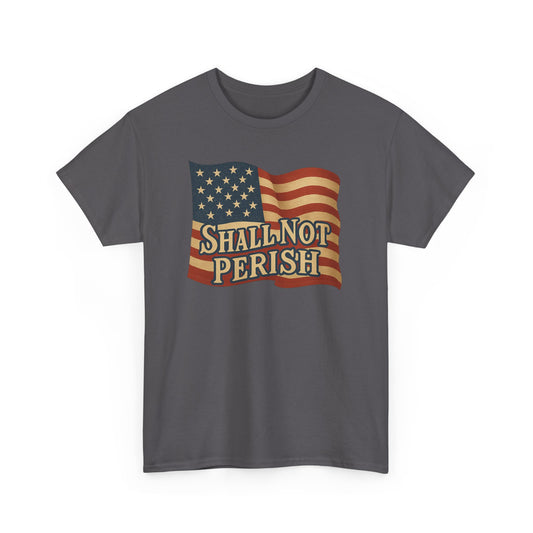Patriotic Unisex Heavy Cotton Tee - 'Shall Not Perish' Vintage Flag Design